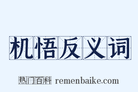 机悟反义词是什么意思的图片